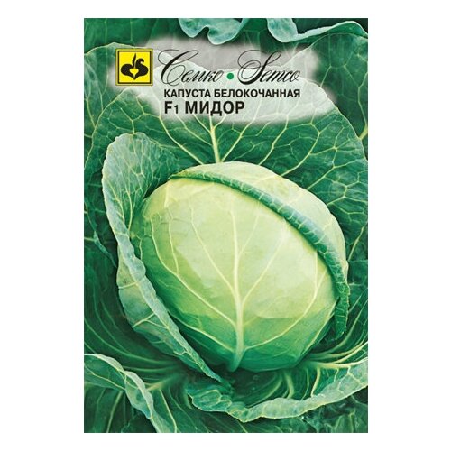 ������ ������ ������� ������������ ����� F1 ����