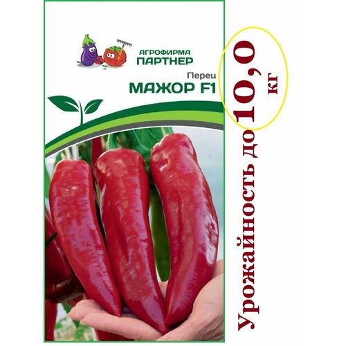 ������ ������ ����� ������� ����� (1 ��������-5 ���� �����) ��������� ������� ����