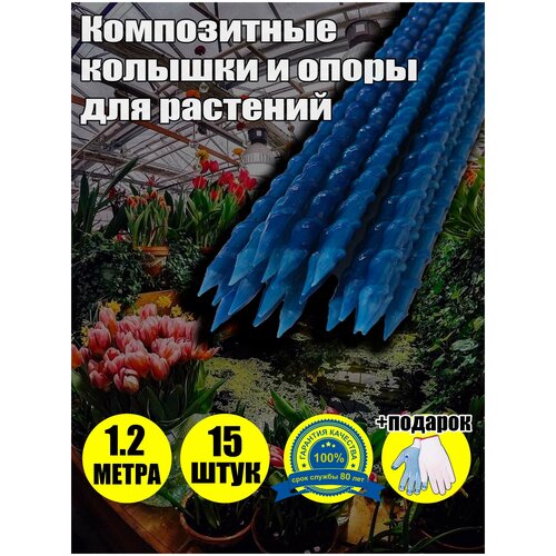 ������ ������ ������� ������� ����� ����������� �������������� ����� 120 ��, ������� 8 ��, �����, 15 �� � �������� ����