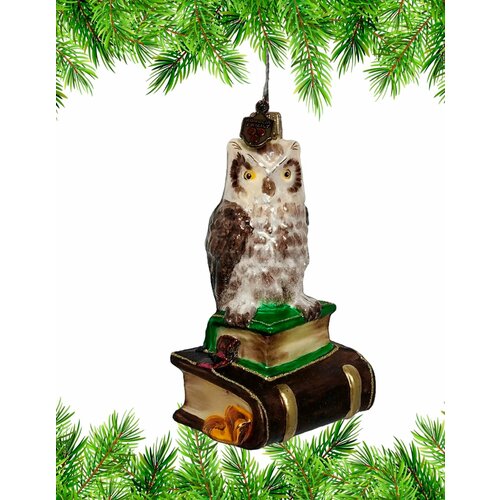 ������ ������ ������� �� ���� ���� Komozja Family ����