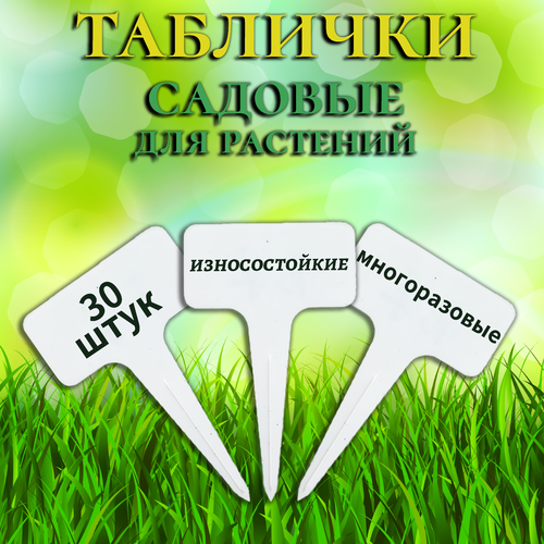 ������ ������ �������� ��� ����, ������� � ��������� ��������. 30 ���� ����