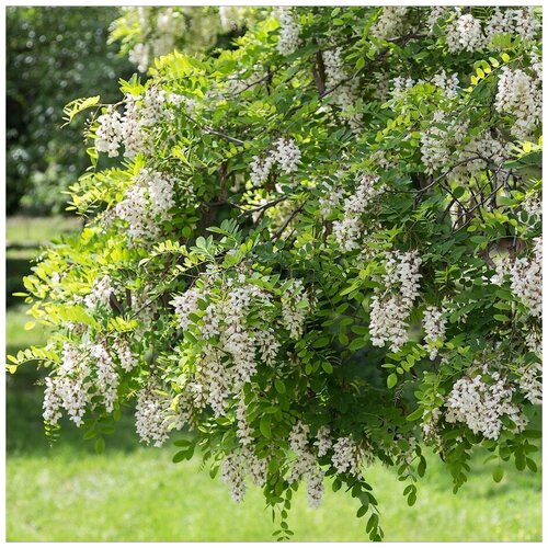 ������ ������ ������ ������ ������� �������������� 20 ��. ����