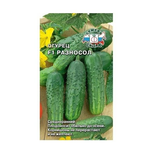 ������ ������ ����� ������ ����� �������� F1 ����