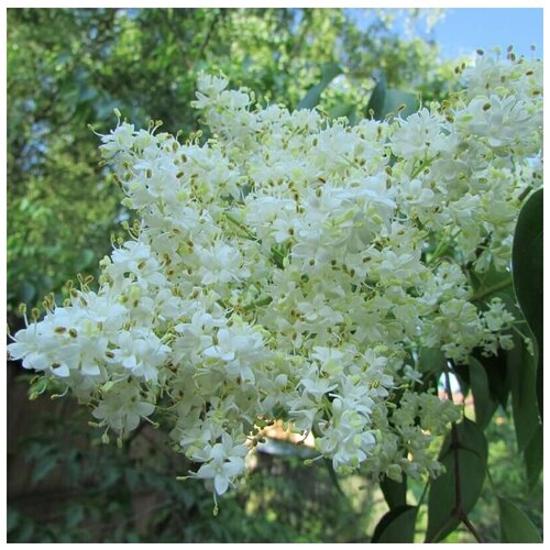 ������ ������ ������ ������ ������ �������� 20 ��. ����