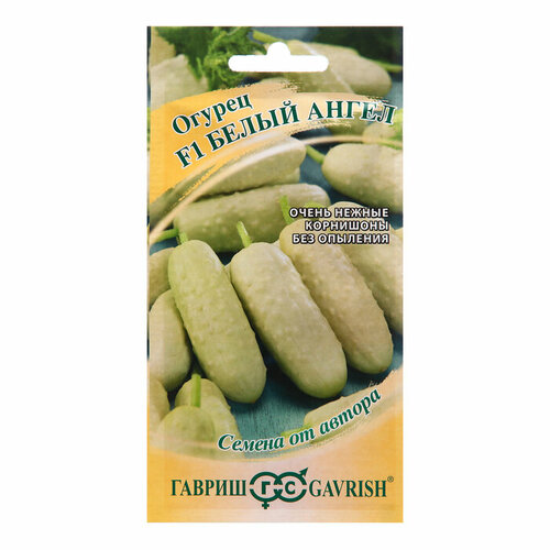 ������ ������ ������ ������ 