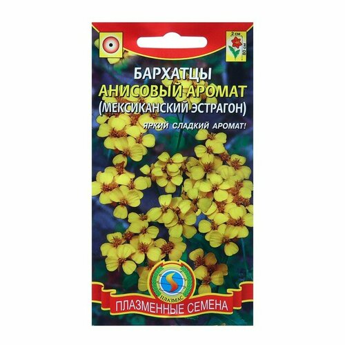 ������ ������ ������ �������� 