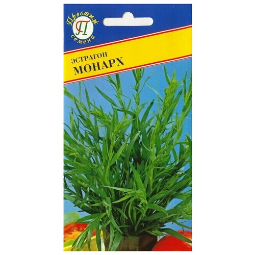 ������ ������ �������� (������) ������ 0,1�� ����� � ������ (1 �����) ����