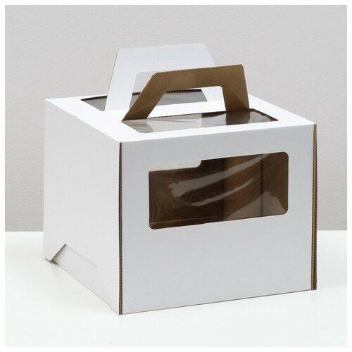 ������ ������ ������� ��� ���� 2 ����, � �������, �����, 24 � 24 � 20 �� ����