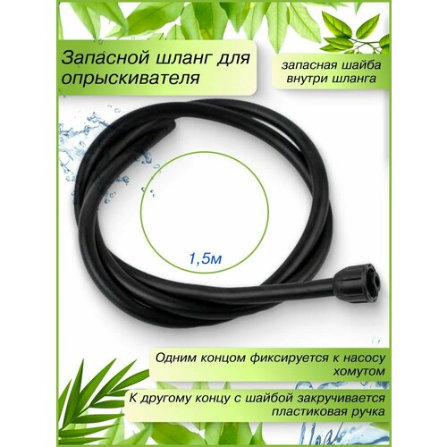 ������ ������ ����� ���������� ������� ��� ������������� ����