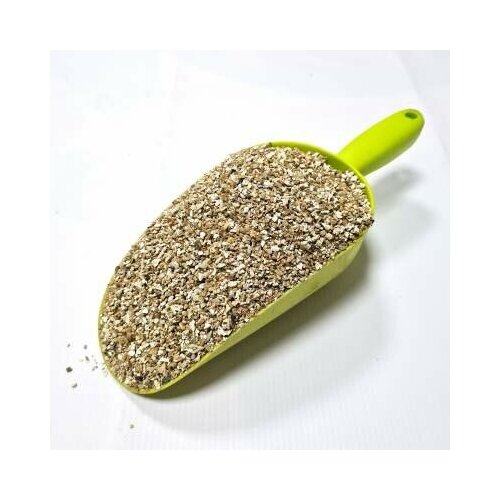 ������ ������ ���������� 50 ������ ������� ����� ��� ���� � ���� ������� ���� ����