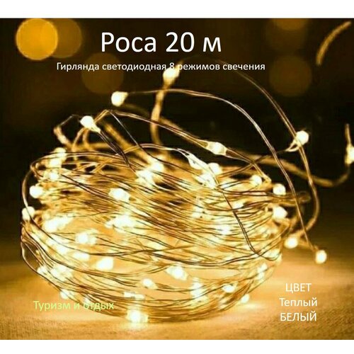 ������ ������ �������� ���� 20 �, ������ ����