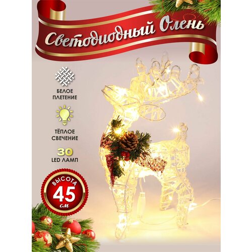 ������ ������ ����� ���������� ������������ ���������� 40 �� ����� ����