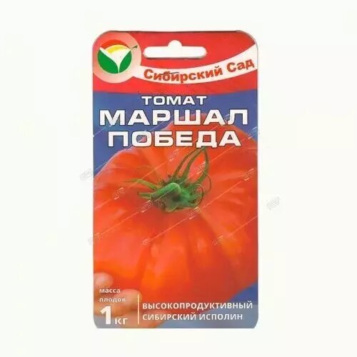 ������ ������ ����� ������ ������, ������ ��������� ��� 20�� ����