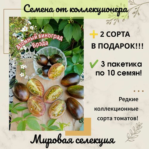 ������ ������ ����� ������� �������� �����, ������� ��������, ����������������, ����������� ����