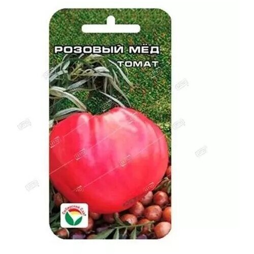 ������ ������ ����� ������� ���, ������ ��������� ��� 20�� ����