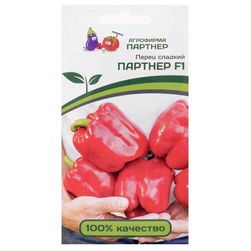 ������ ������ ������ ��������� ������� ����� ������� ������� F1 5 ��. ����