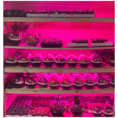 ������ ������ ��������� ��� �������� 5 �. 5V. IP65 . (������������ �����) USB ����