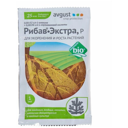 ������ ������ ��������� ����� ��������� �����-������ ������ � ���. 1 �� ����