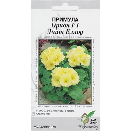 ������ ������ ������� F1 �����, ���� �����, 5 ����� ����