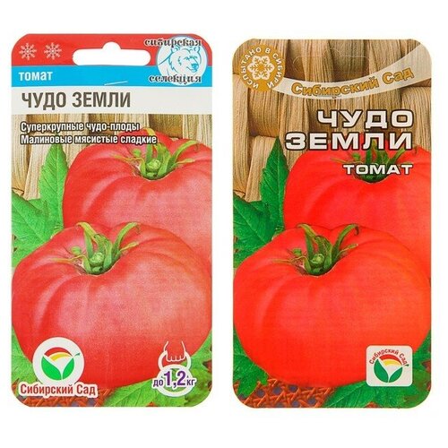 ������ ������ ������ ����� 