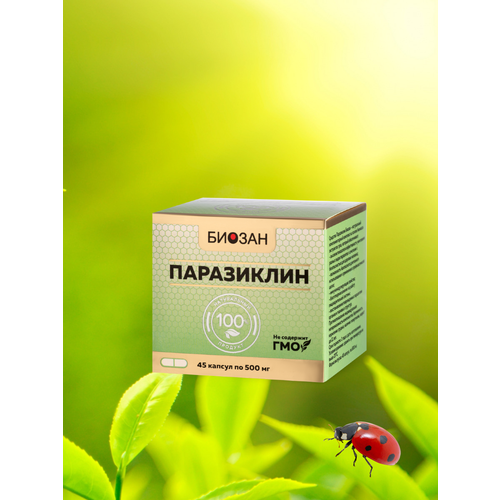 ������ ������ ������������������� �������� ������������ ����