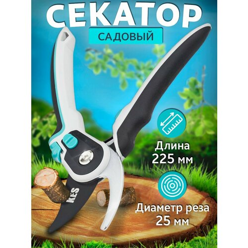 ������ ������ �������� ��� ���������� ����