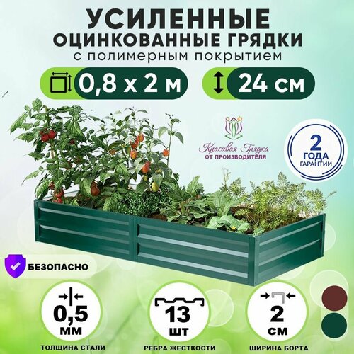������ ������ ������ ������������ �� ���� ��������� 2�0,8 ����� / ���������� ������������� ��� ������ ���� ������ � ������� ������� / ������ ��� ���� � ������� ������ ����� 24 �� ����
