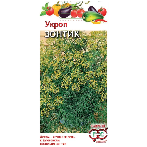 ������ ������ ������ ������ ����� ������ 3 � ����