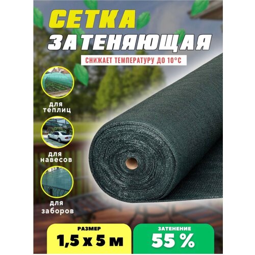 ������ ������ ����� ���������� �������, ��������� 55%, ������ 1,5�5� ����