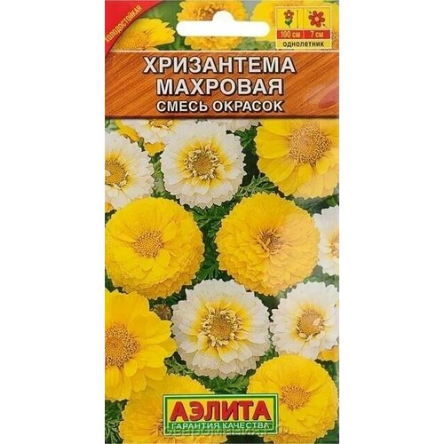 ������ ������ ������ ������ ���������� ���������� ��������, ����� (0,2 ��.) ����