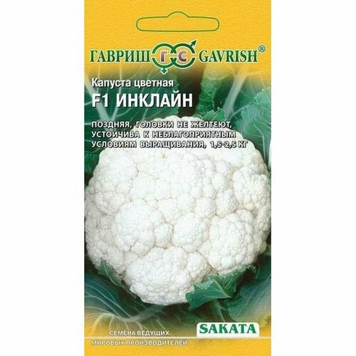 ������ ������ ������ ������� ������� ������� F1, ������������, (������) 15�� ����