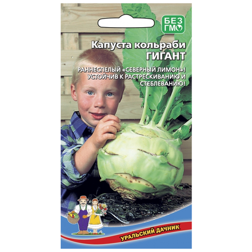 ������ ������ ������ ������� �������� ������, 3 ��. ����