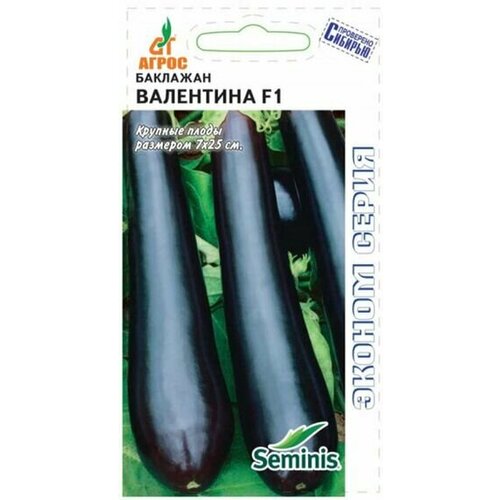 ������ ������ ������ �������� ��������� 5�� ������ (�����) ������ ����