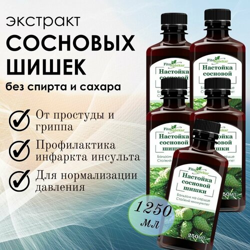 ������ ������ �������� �������� ����� 