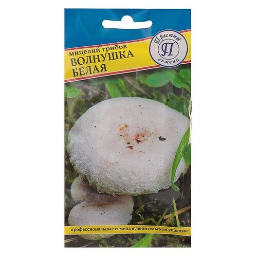 ������ ������ ������� ������ �������� �����, 60 �� ����