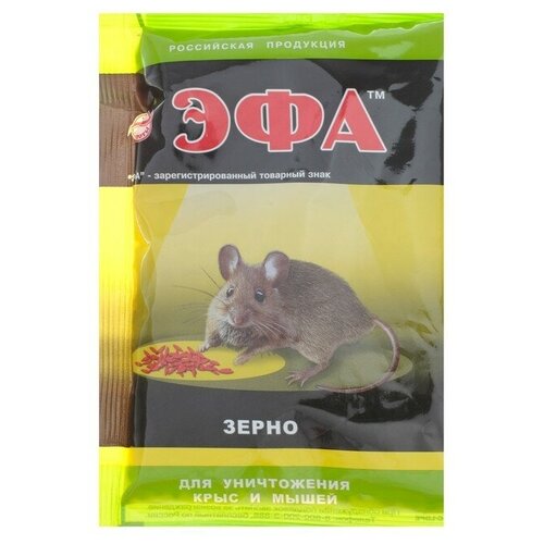 ������ ������ ��� �������� �������� �� �������� 