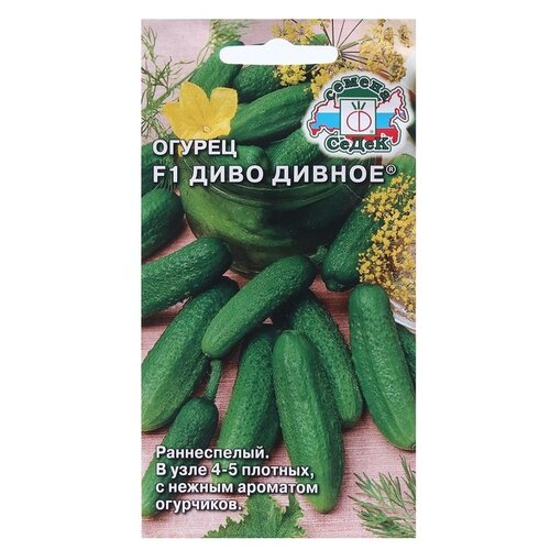 ������ ������ ������ ����� ������ ���� ������ F1 0,2 � ����