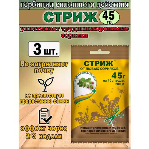 ������ ������ �������� �����, �� �������� ��������� ��������, 45 ��, 3�� ����