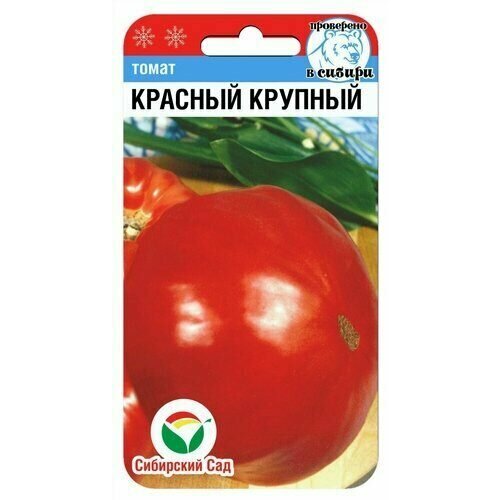 ������ ������ ������ ����� ������� ������� 20�� ����� (��������� ���) ����