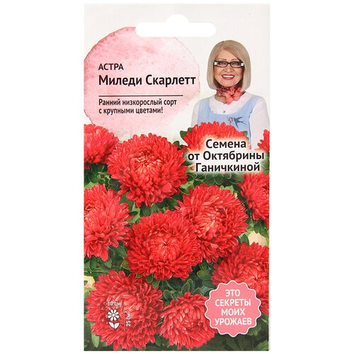 ������ ������ ������ ����� ��������� ���������� ������ �������� 0,1 � ����