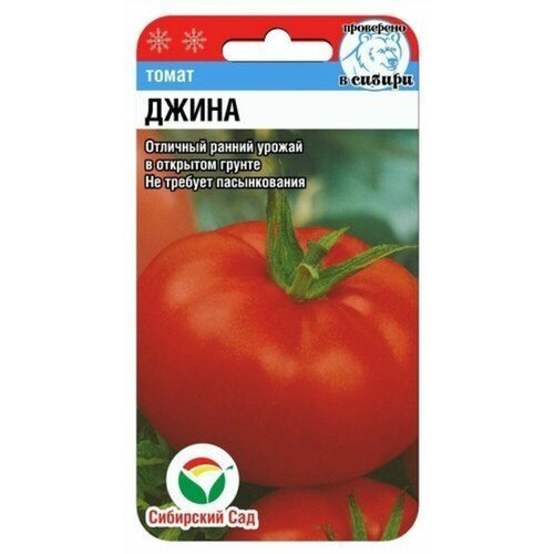 ������ ������ ������ ����� ����� 20�� ��� ������ (��������� ���) ����