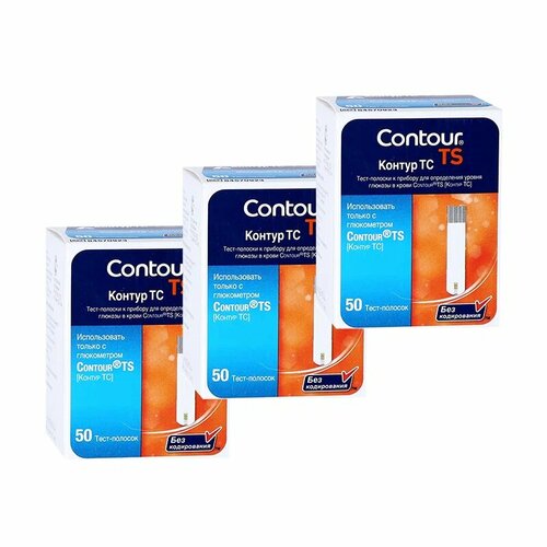 ������ ������ ����-������� ������ �� (�ontour TS) � 150 (31.01.2025) ����