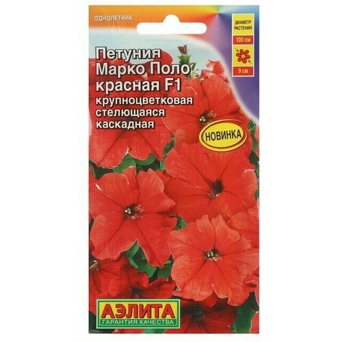 ������ ������ ������ ������� ����� ���� F1 �������, 10 �����. ����