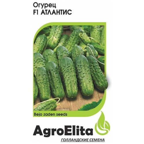 ������ ������ ������ ��������� 