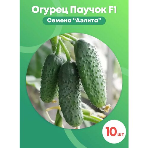 ������ ������ ������ ������ 