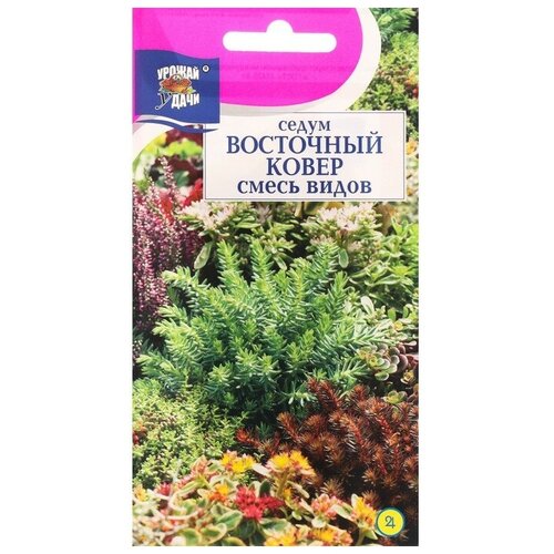 ������ ������ ������ ������ ����� 