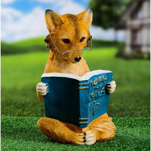 ������ ������ ������ ���� � ������ 30�19�17�� ����