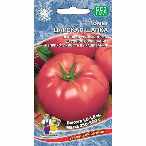 ������ ������ ������ ����� ������� �����, ������������, 20�� ����