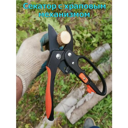 ������ ������ ������� ������� � �������� ���������� ������� ����