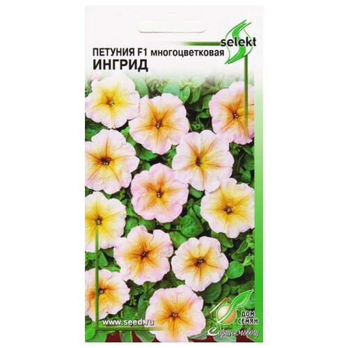 ������ ������ ������� �������������� F1 ������, 15 ����� ����